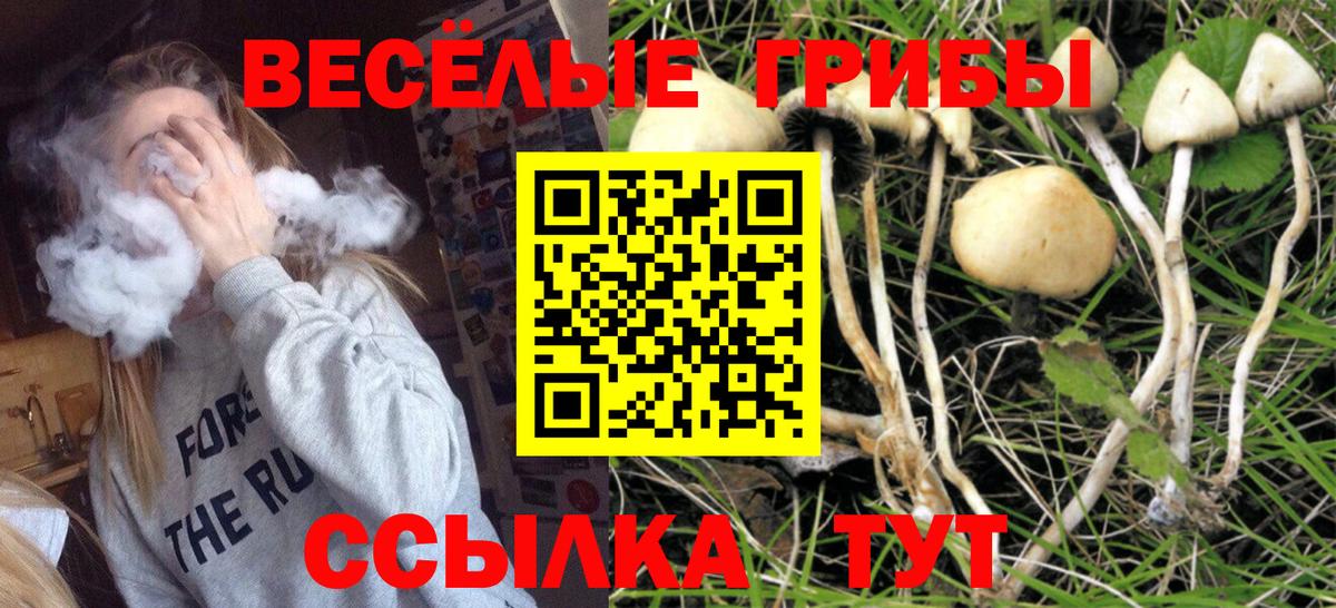 Набережные Челны  Галлюциногенные грибы Psilocybe  Вход с VPN 